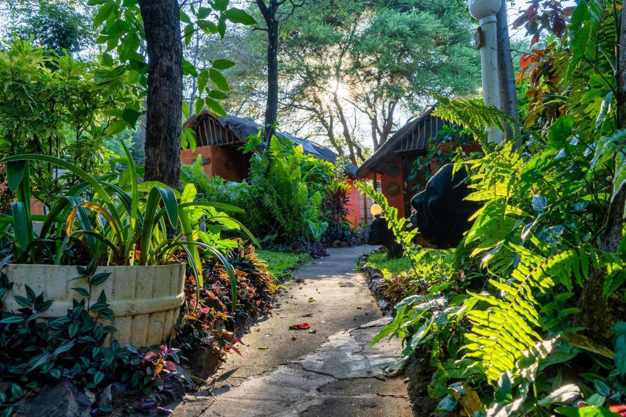 Victoria Falls Backpackers Lodge Экстерьер фото