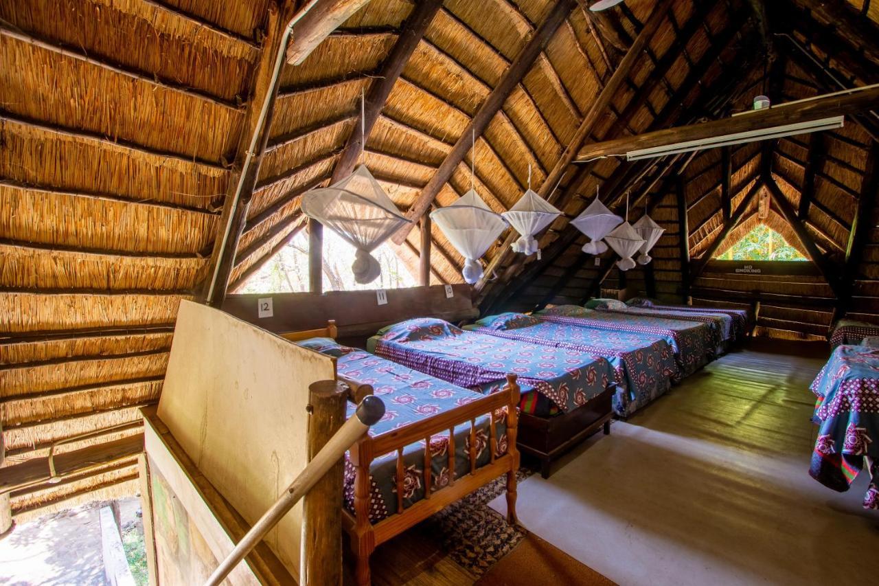 Victoria Falls Backpackers Lodge Экстерьер фото