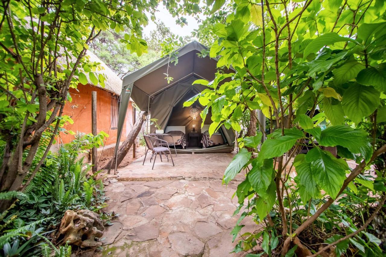 Victoria Falls Backpackers Lodge Экстерьер фото