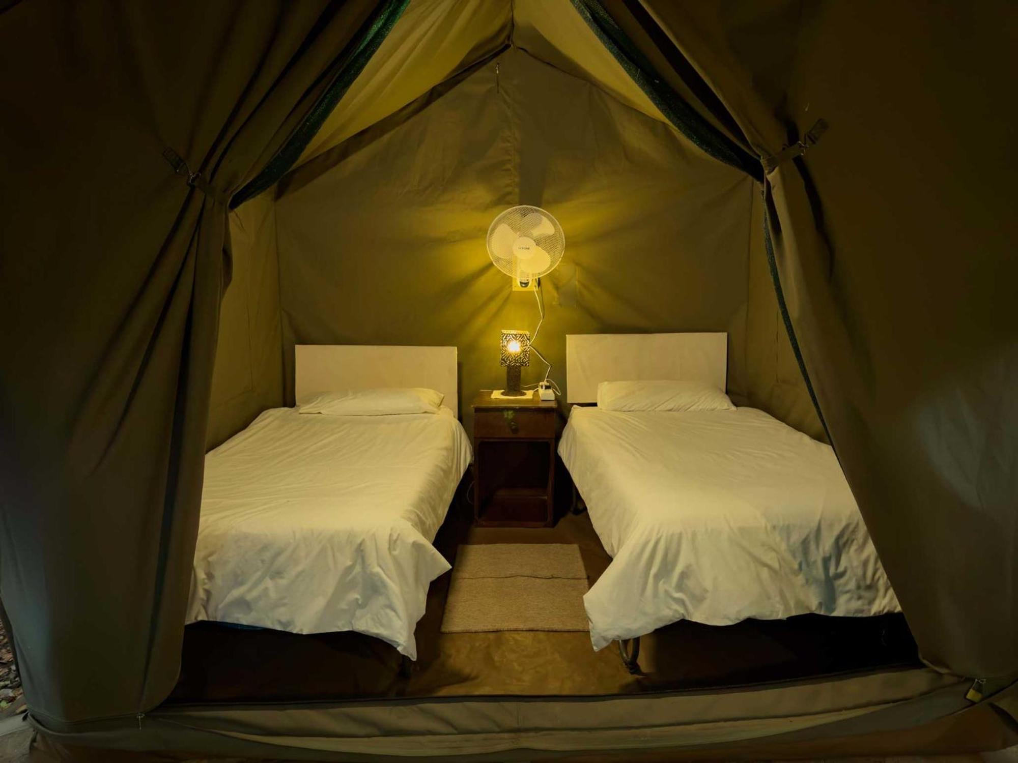 Victoria Falls Backpackers Lodge Экстерьер фото