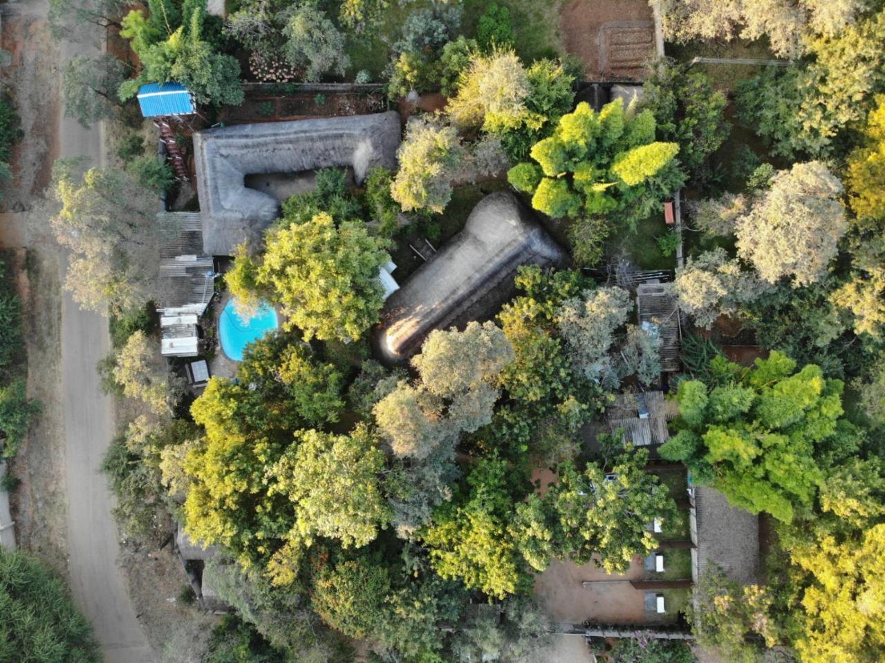 Victoria Falls Backpackers Lodge Экстерьер фото